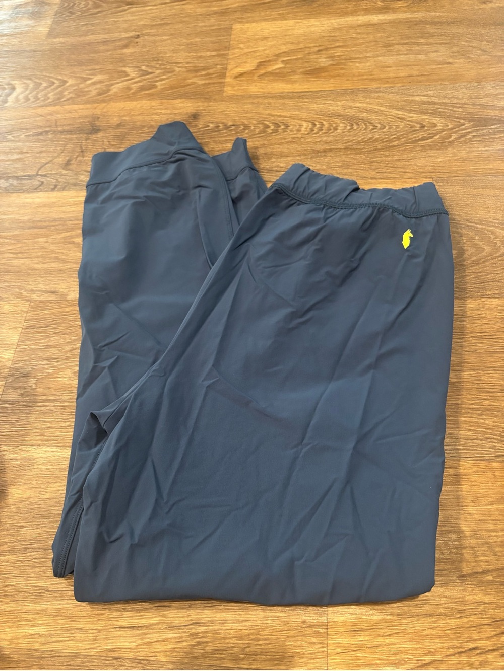 Cotopaxi Blue Performance Nylon Jogger Pants Lightweight Athletic Women’s Large